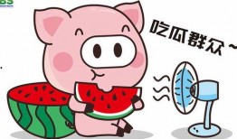 娱乐吃瓜酱发财,揭秘明星财富背后的秘密